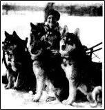 Леонард Сеппала и его собаки